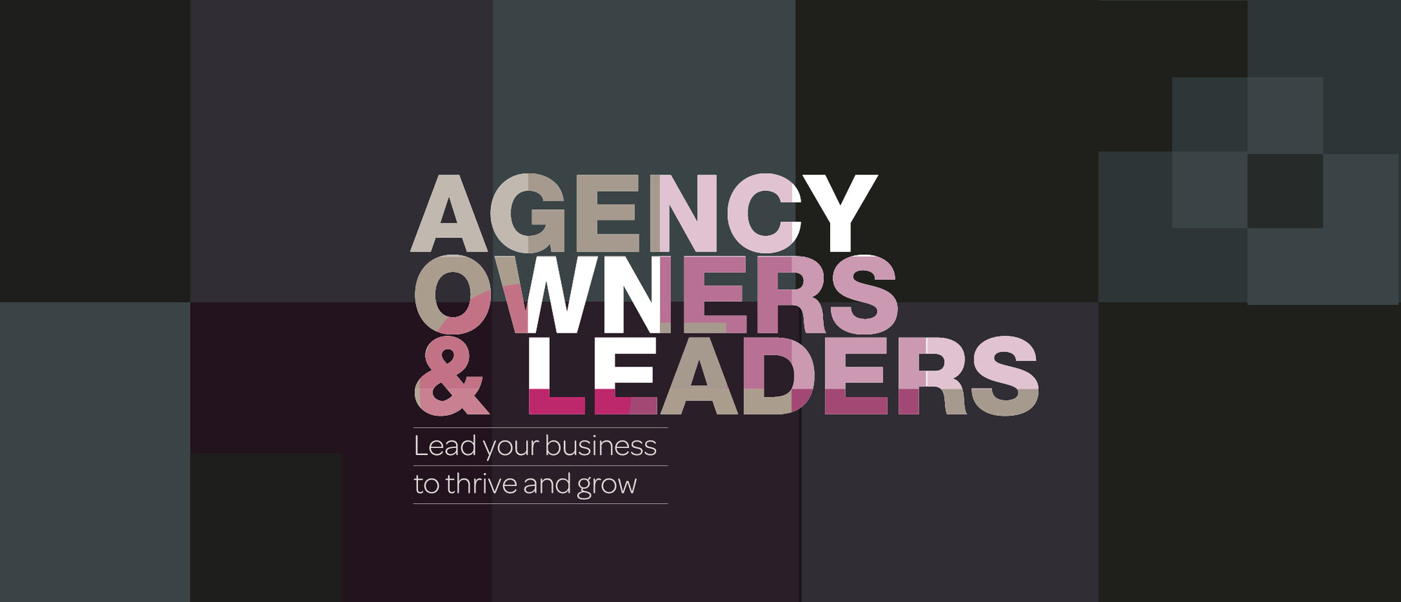 MRS_e_conf_AgencyOwners_0725-2_homepage6